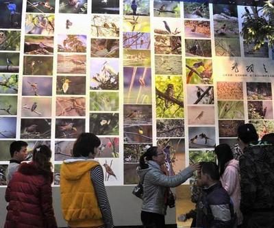 工廠礦山也能變景區(qū)？國家工業(yè)遺產旅游基地名單出爐 市場營銷策劃篇